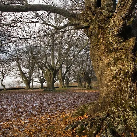 Rst. Padornelo Hotel 2*