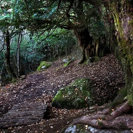 酒店 Rst. Padornelo Padornelo (Castile and Leon)