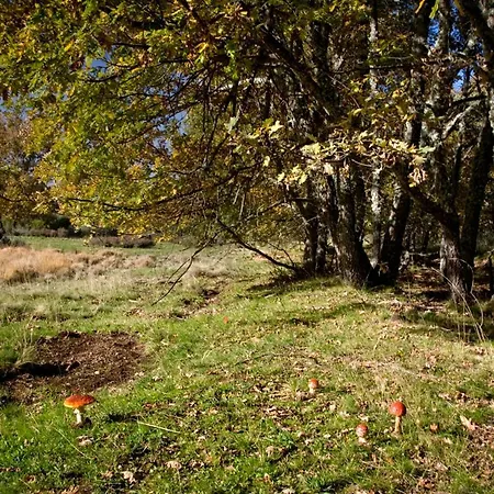 Rst. Padornelo Hotel