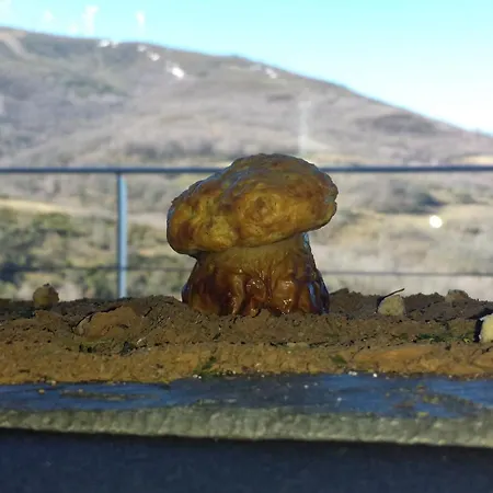 Rst. Padornelo 酒店 2*